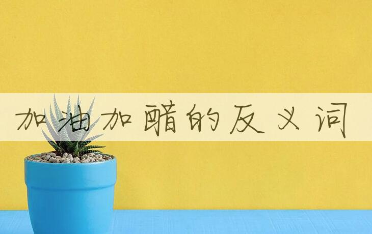 用加油加醋造句