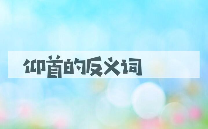 用仰首造句