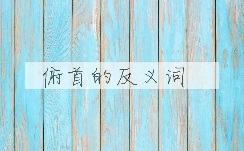 用俯首造句