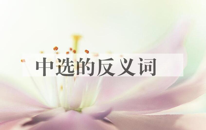 用中选造句
