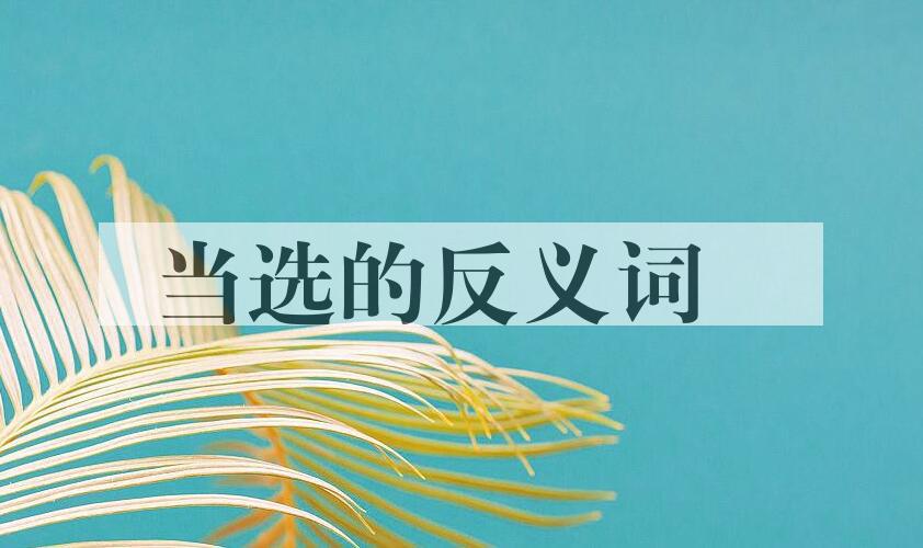 用当选造句