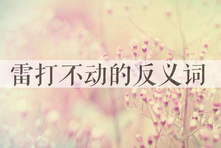 用雷打不动造句