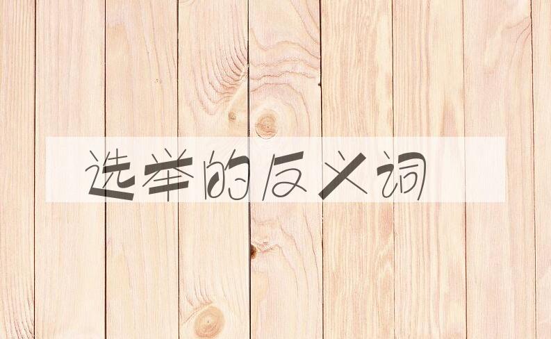 用选举造句