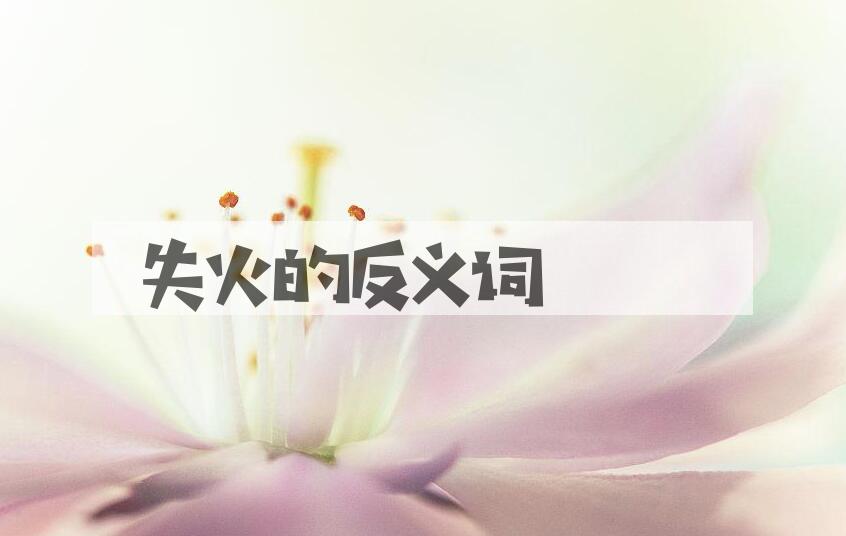 用失火造句
