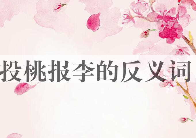 用投桃报李造句