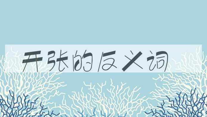 用开张造句