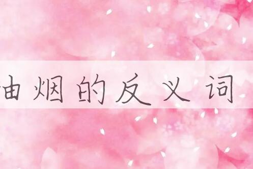 用抽烟造句