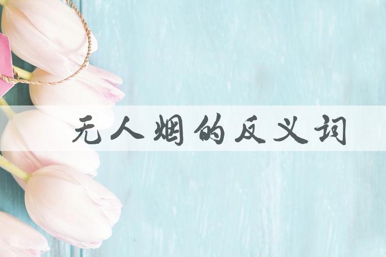 用杳无人烟造句