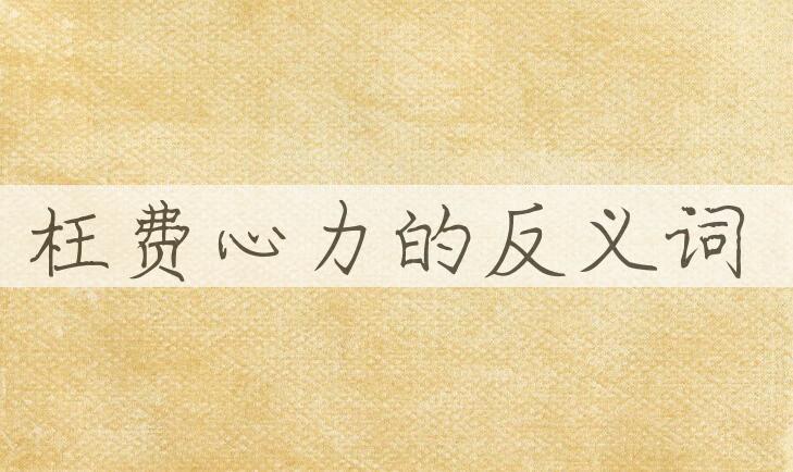 用枉费心力造句
