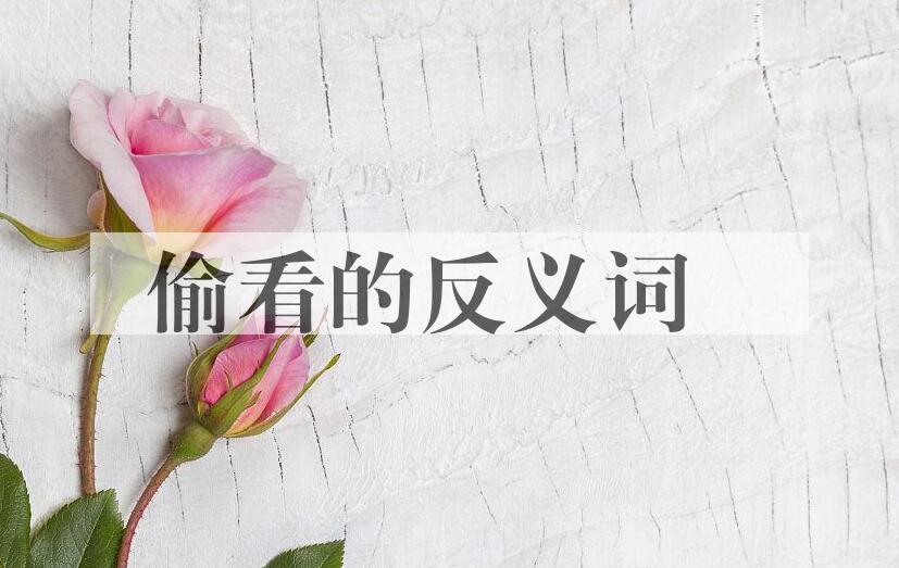用偷看造句