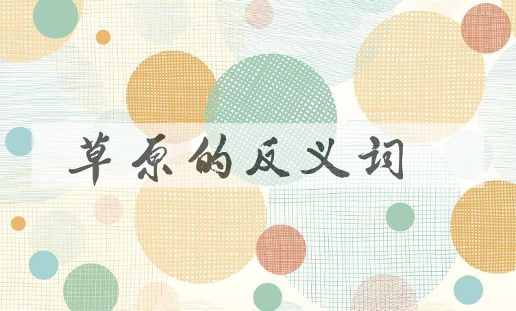 用草原造句