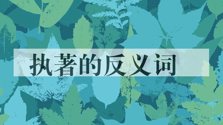 用执著造句