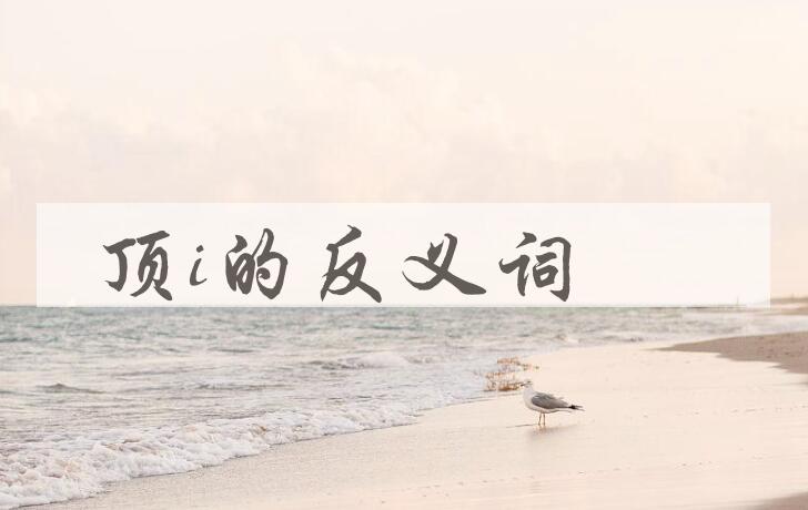 用顶i造句