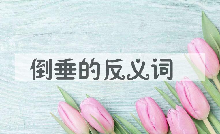 用倒垂造句
