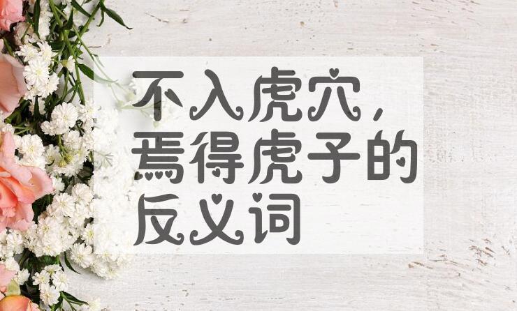 用不入虎穴，焉得虎子造句