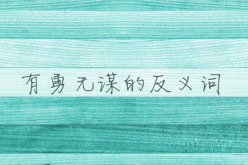 用有勇无谋造句