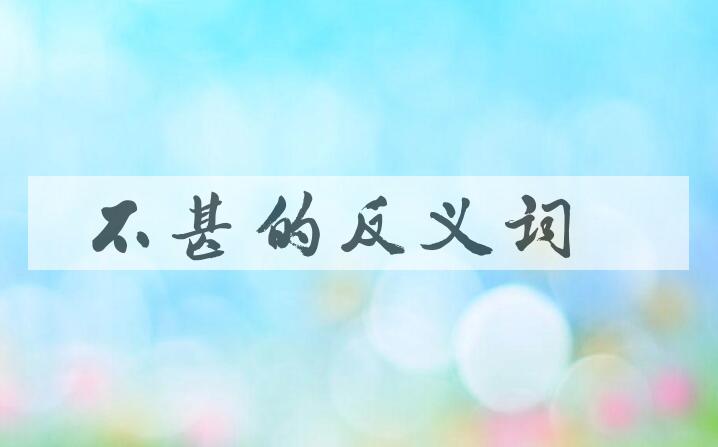 用不甚造句