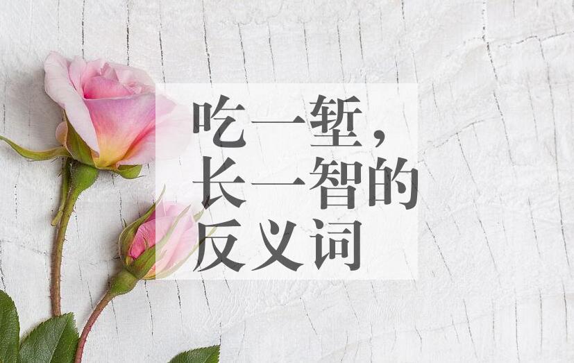 用吃一堑，长一智造句