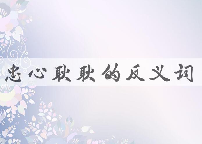 用忠心耿耿造句