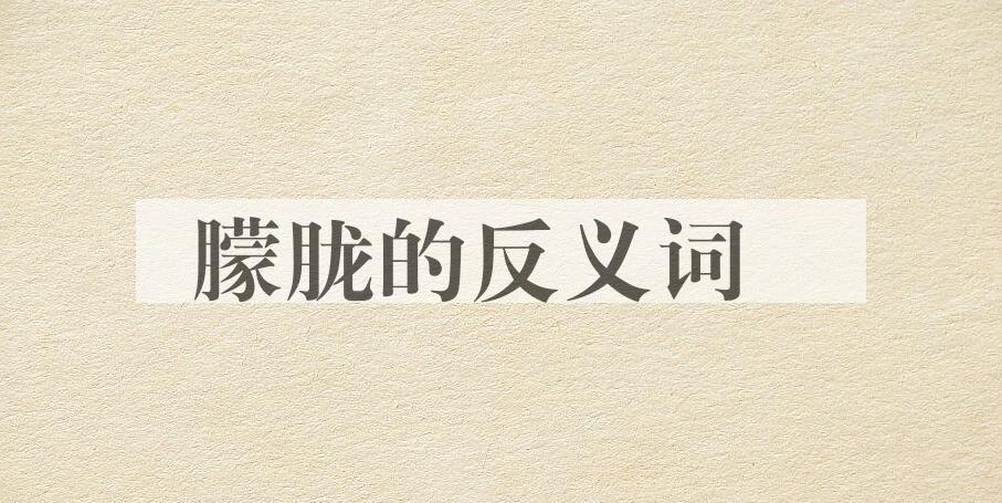 用朦胧造句