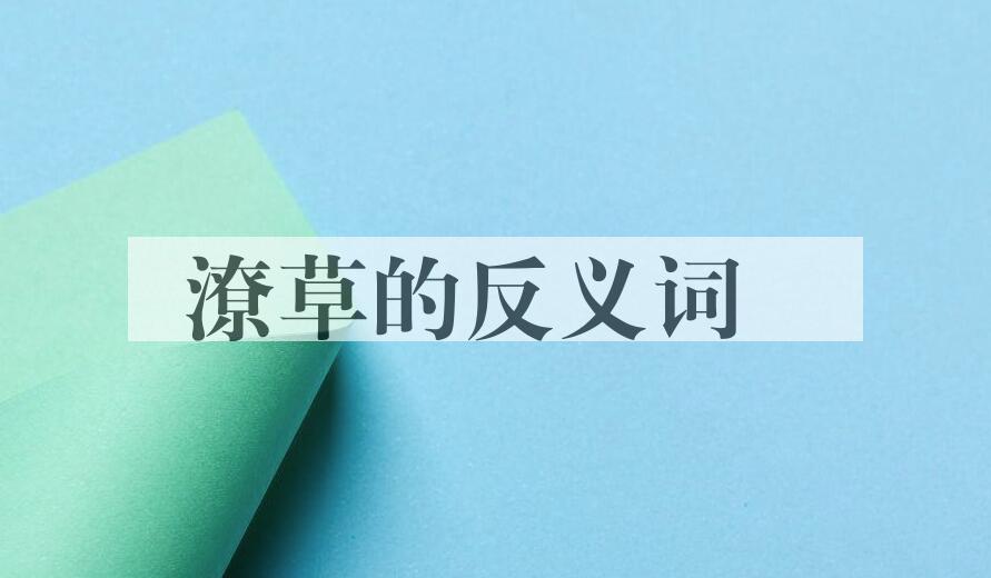 用潦草造句