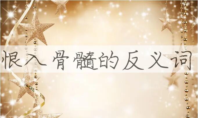 用恨入骨髓造句