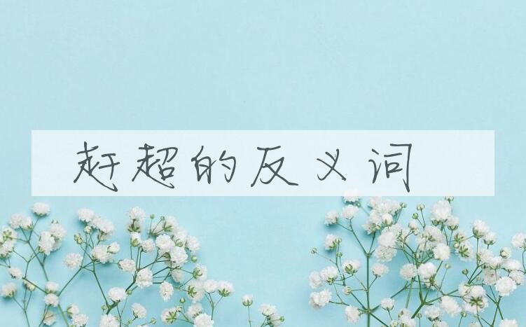用赶超造句