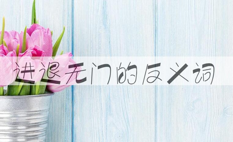 用进退无门造句