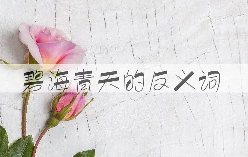 用碧海青天造句