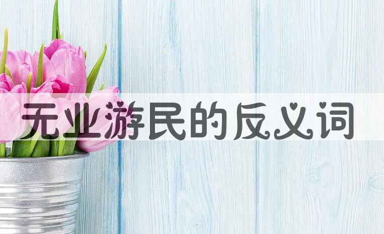 用无业游民造句