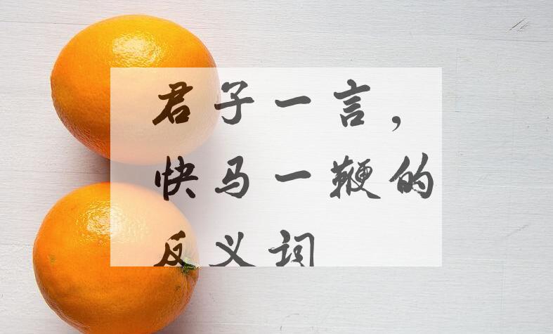 用君子一言，快马一鞭造句