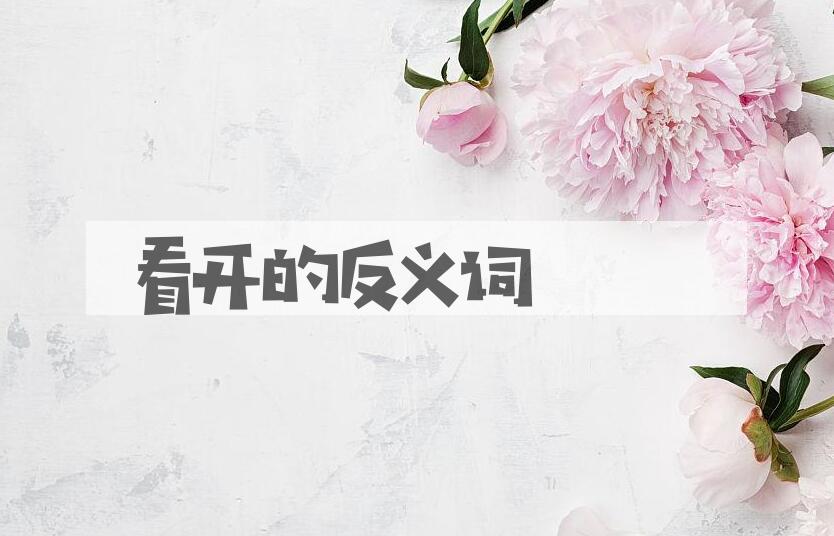 用看开造句