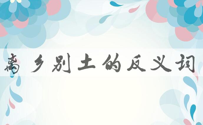 用离乡别土造句