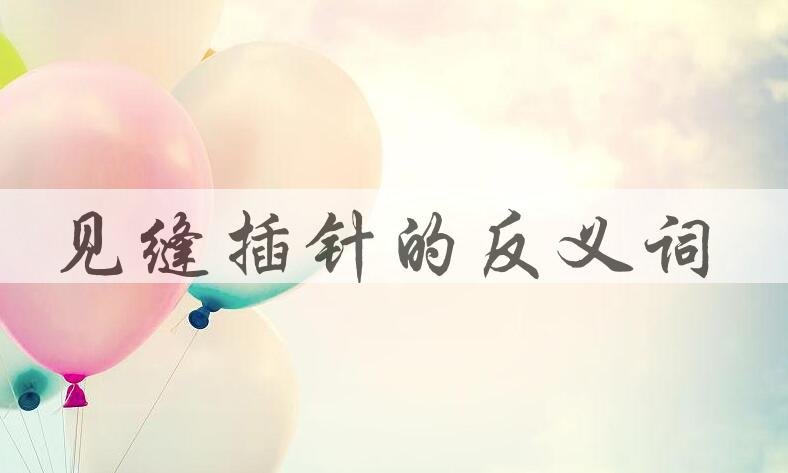 用见缝插针造句