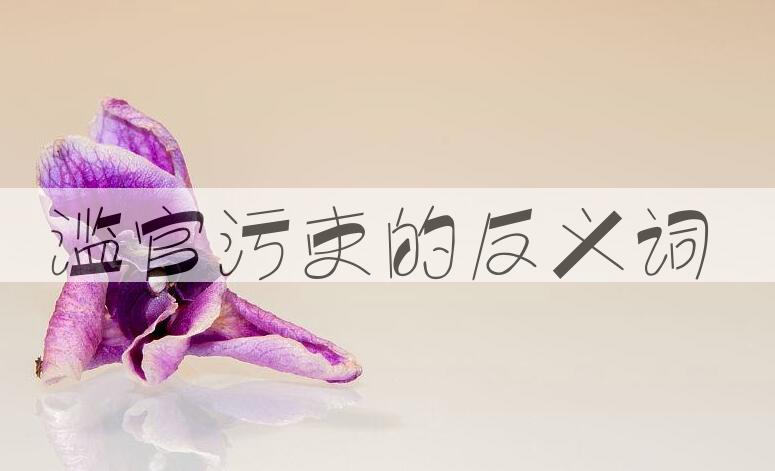 用滥官污吏造句