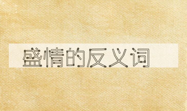 用盛情造句