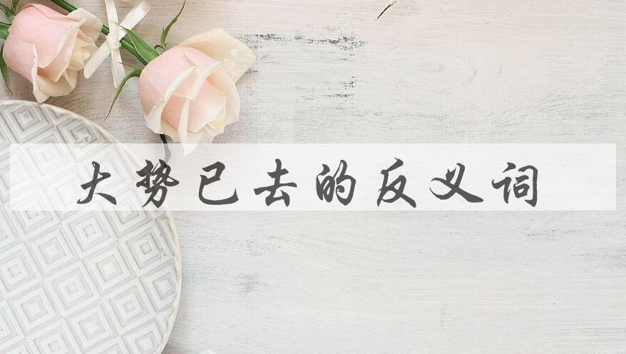 用大势已去造句