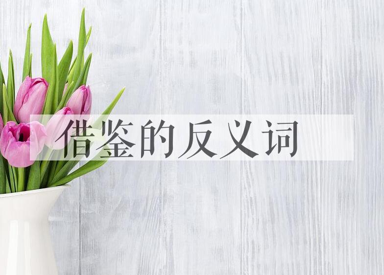 用借鉴造句