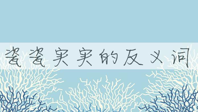 用瓷瓷实实造句