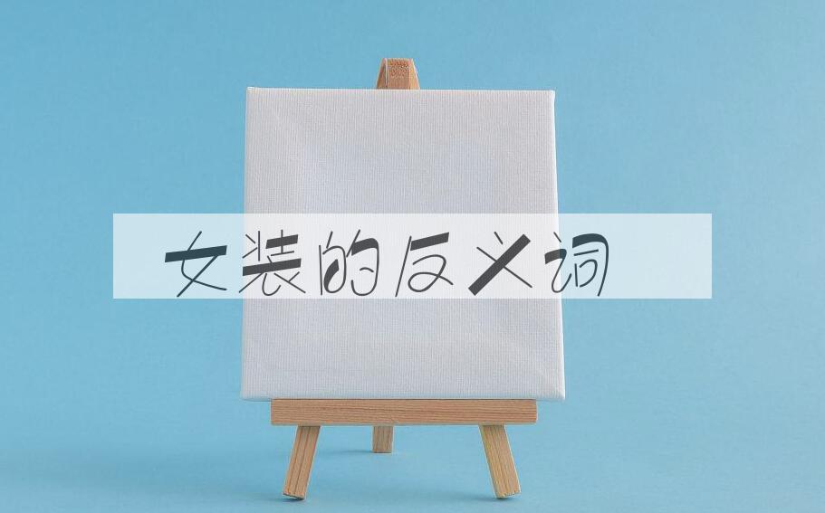 用女装造句