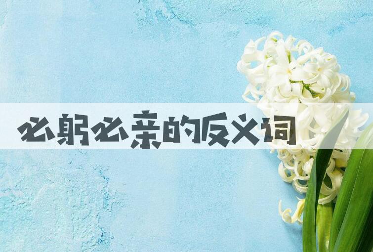 用必躬必亲造句