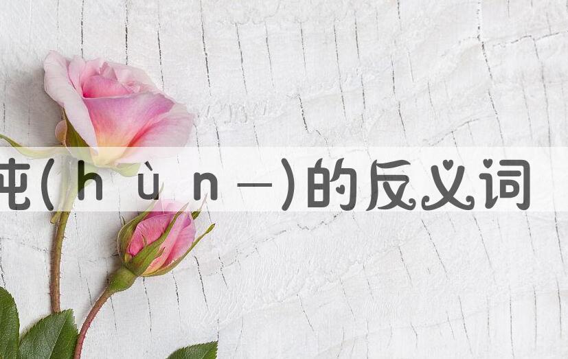 用浑沌(ｈùｎ-)造句