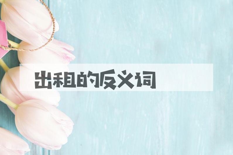 用出租造句