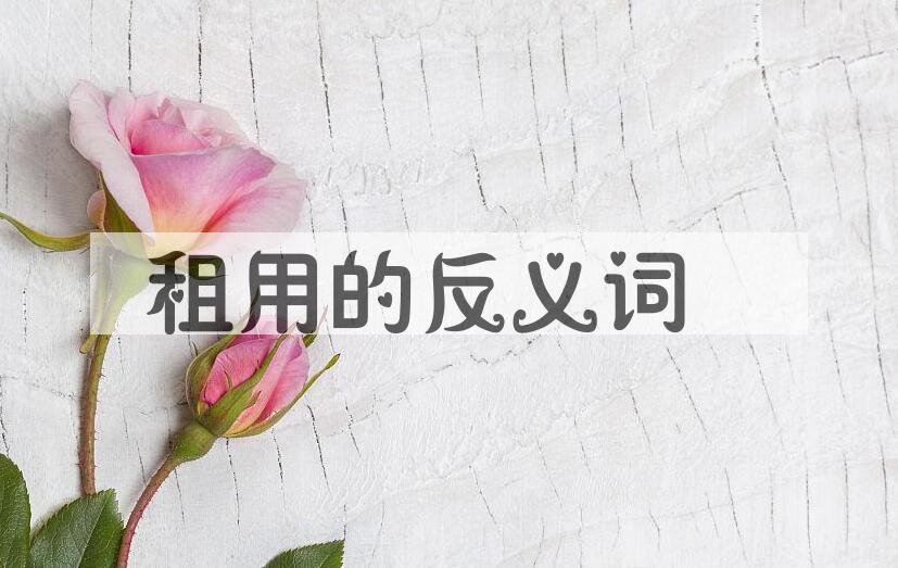 用租用造句