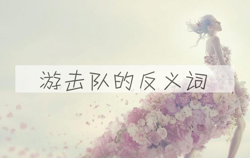 用游击队造句