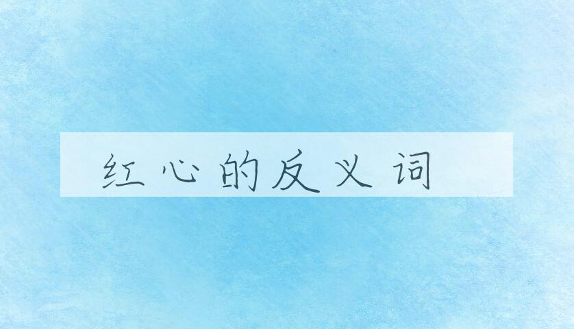 用红心造句