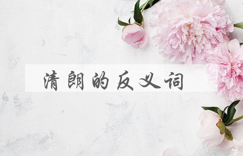 用清朗造句