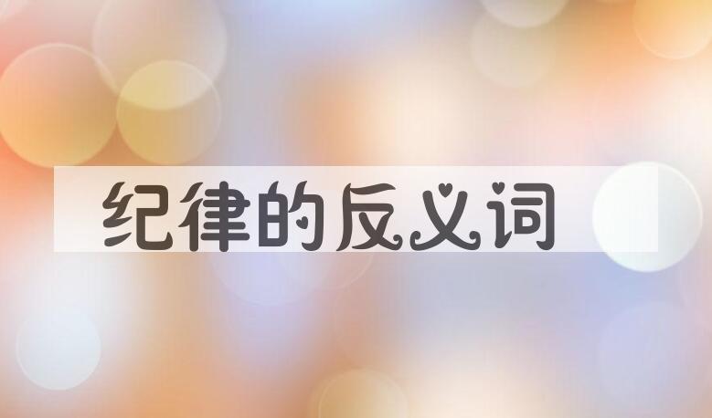 用纪律造句
