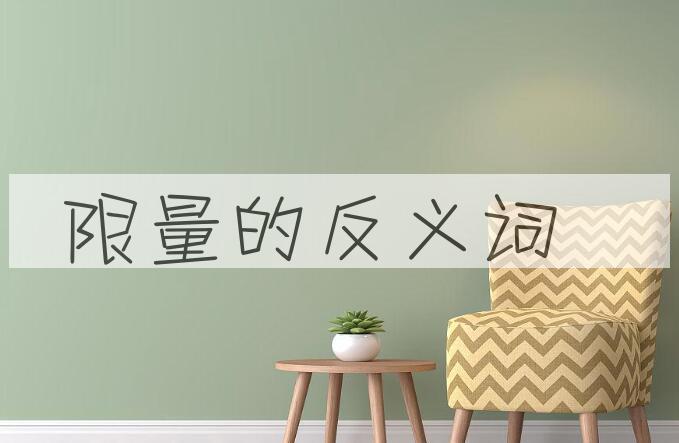 用限量造句