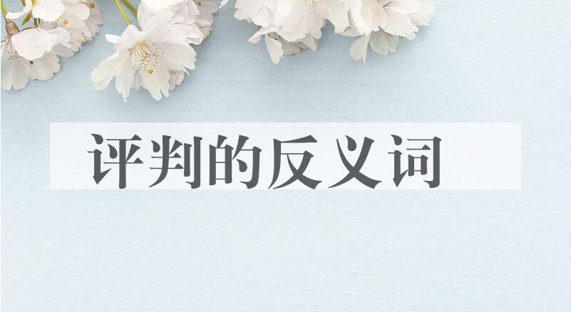 用评判造句